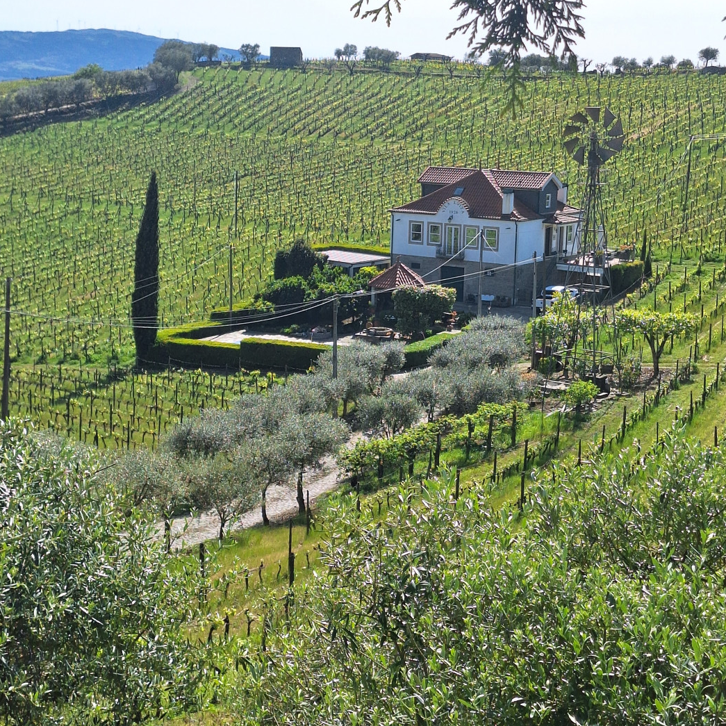 Douro Valley