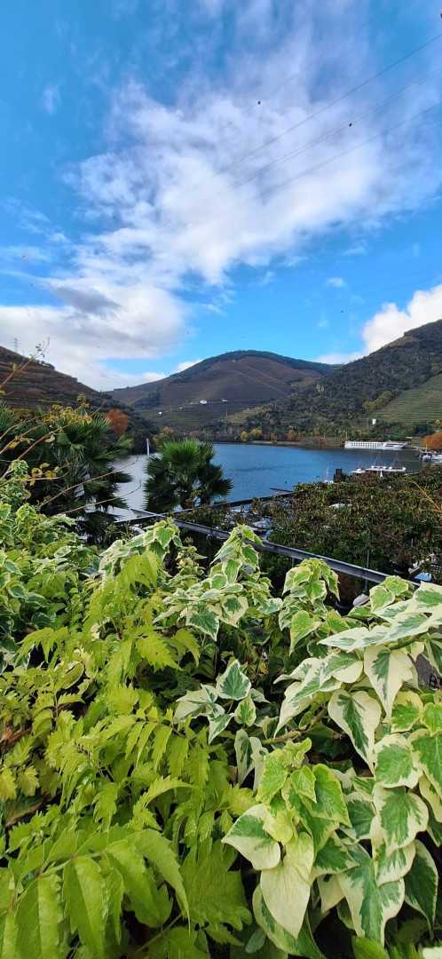 Douro Valley