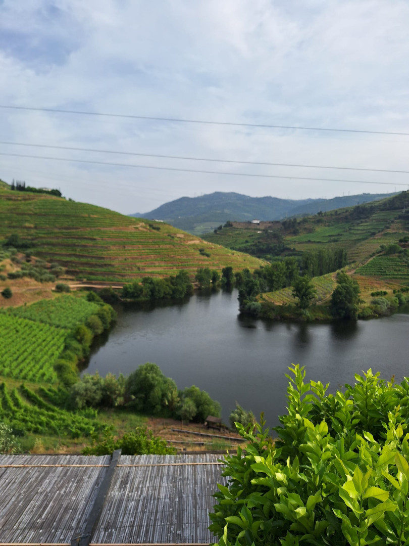 Douro Valley